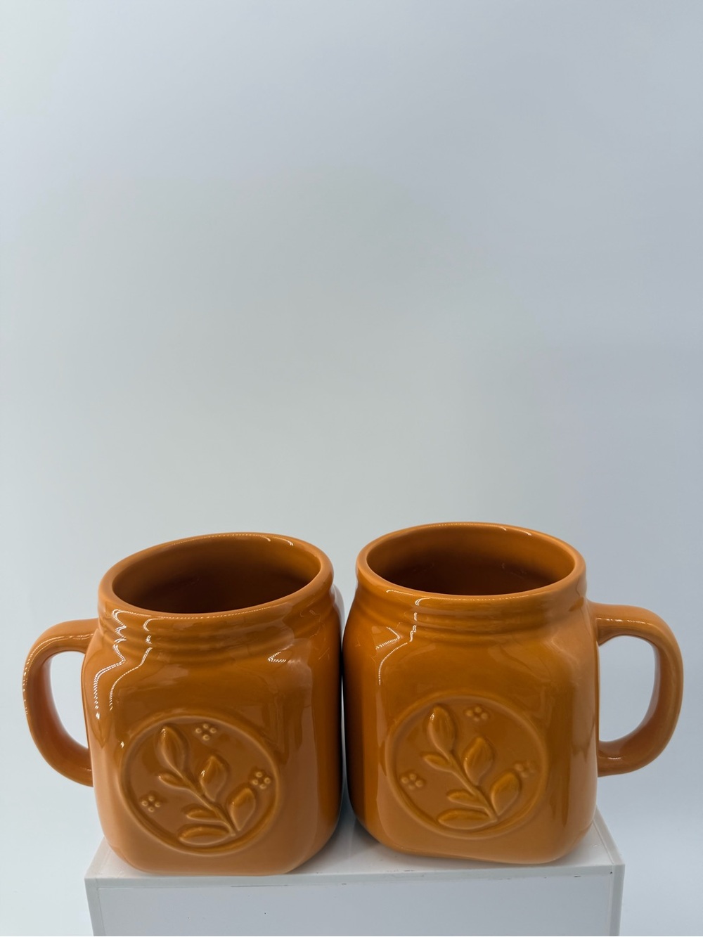 Set of 2 Orange Ceramic Mugs with Embossed Floral Medallion